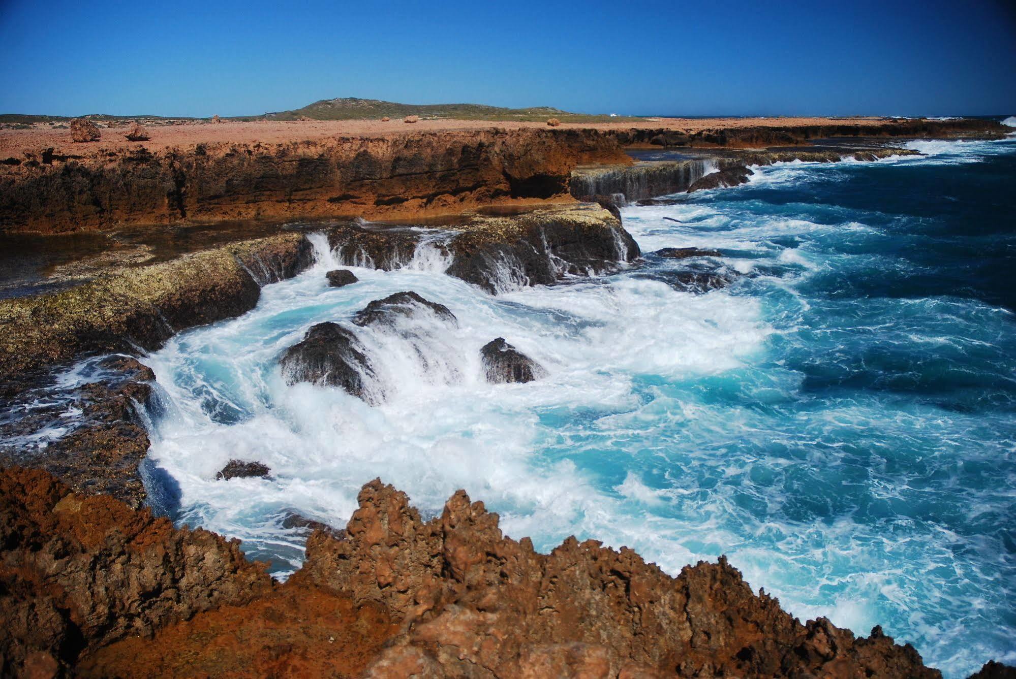 Discovery Parks - Carnarvon Bagian luar foto